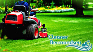 grass-cutting-bermondsey