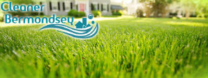 grass-cutting-services-bermondsey