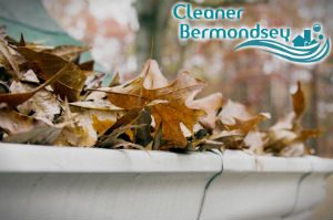 gutter-cleaners-bermondsey