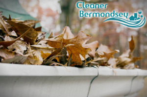 gutter-cleaners-bermondsey